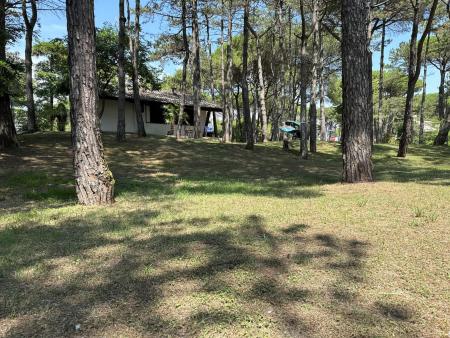 Freistehende Villa in einem grandiosen grünen Park