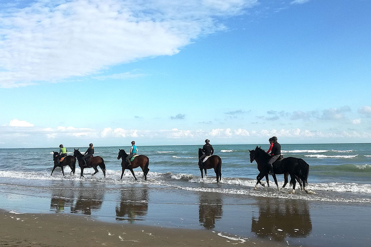 Ausritt mit dem Pferd am Strand